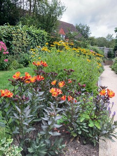 Peri News August 25' Edition