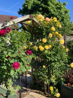 Peri News September 25' Edition